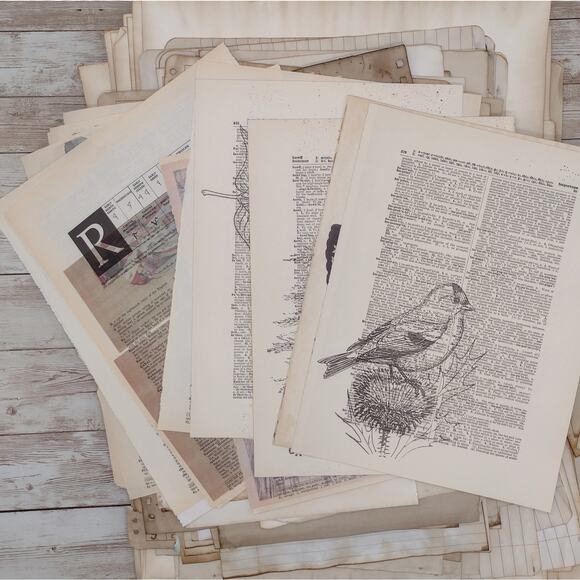 Dyed Paper Seconds: Imperfect Eco Dyed Paper Mix with Dictionary Prints - Picture 2 of 13